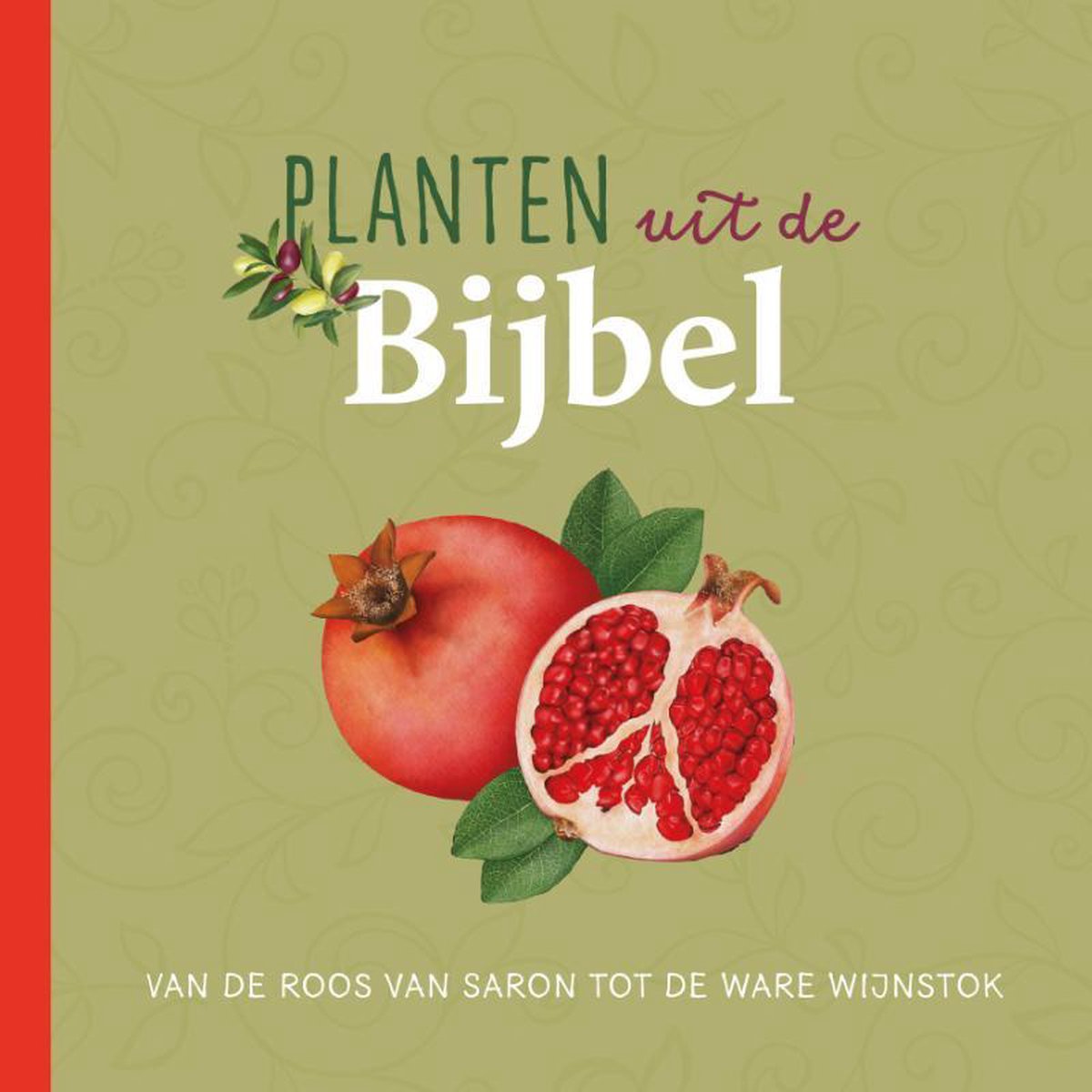 Planten uit de Bijbel
