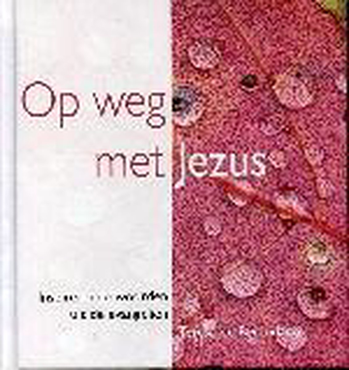 OP WEG MET JEZUS