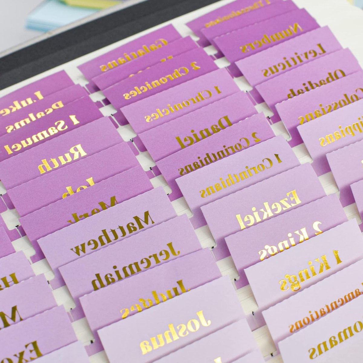 Bijbel Index Tabs voor Vrouwen, 96 Grote Gelamineerde Tabs voor Bijbelstudie, Perfect voor Oude en Nieuwe Testament, Inclusief Lege Tabs