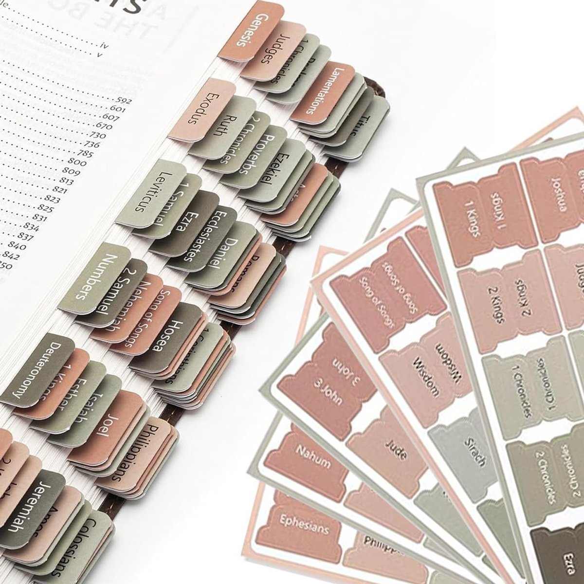 Laminated Bijbel Tabs Set met 73 Boek Tabs voor Oude en Nieuwe Testament en 2 Lege Tabs - Perfecte Bijbel Index Tabs voor Mannen en Vrouwen, Ideaal als Christen Cadeau